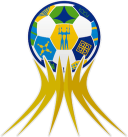 ब्राज़ील कैम्पियोनाटो ब्रासिलिएंस महिलाओं