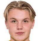 Teodor Walemark