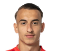 Ardit Destani