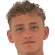 Anton mossnelid