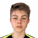 Marius Vister
