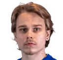 Peetu haikonen