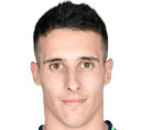 D. Tello