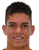 Anderson leguizamon