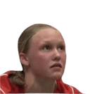 fiene bussman