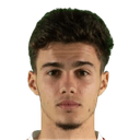 nikola mituljikic
