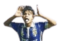 Ardi ardiana