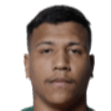 Marcus Vinicius Ferreira Teixeira