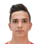Viktor Kanizaj