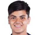 Enzo fernandez