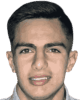 razvan vulpe