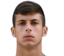 Gianluca Vigliotti