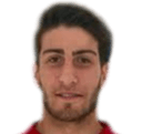 Luka Sanikidze