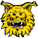 FC Ilves II (w)
