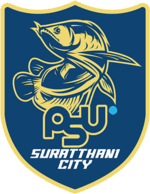 Surat Thani City