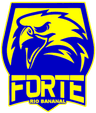 Forte Rio Bananal