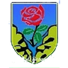 ASD Seravezza Calcio