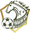Xilin Gol Mongolian Horse U13