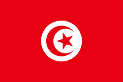 تونس النسائي