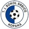 TJ Sokol Srbice