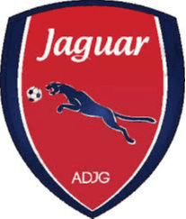 Jaguar PE U20