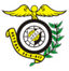 صناعة التجارة