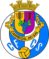 Carregal do Sal
