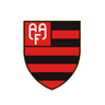 Flamengo-SP (Youth)