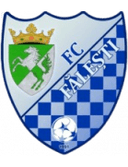 Flacara Falesti