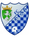 Flacara Falesti