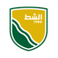  الشط
